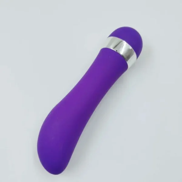 Vibrador Berinjela à prova de água feminino ponto pessoal g